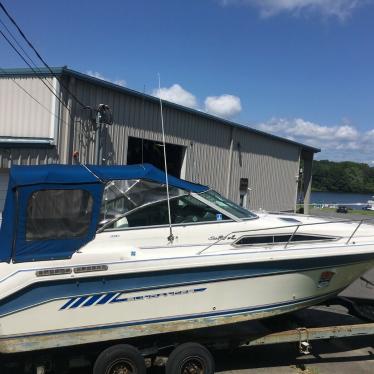 1993 Sea Ray 290 da sundancer