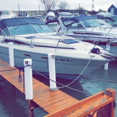 1987 Sea Ray sundancer 300