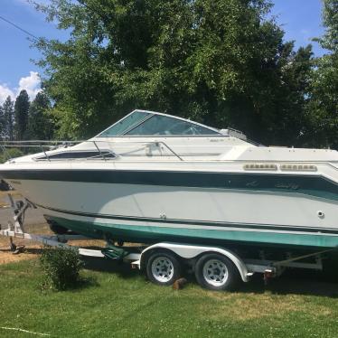 1989 Sea Ray sundancer