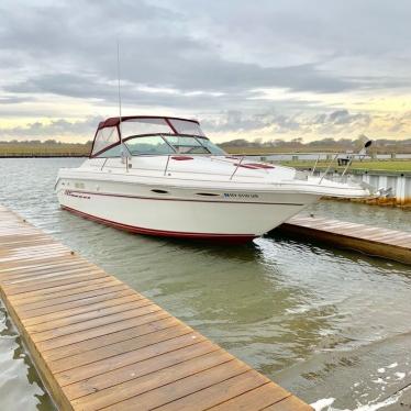 1991 Sea Ray