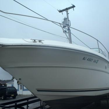 1996 Sea Ray sundancer