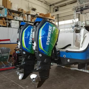 2018 Evinrude