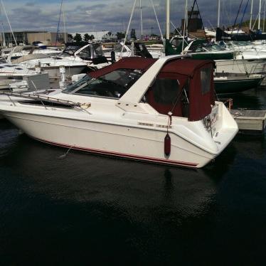 1992 Sea Ray 290 da sundancer