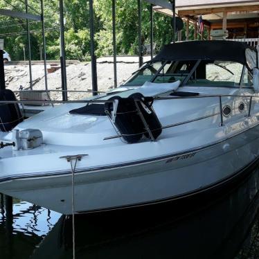 1995 Sea Ray sundancer