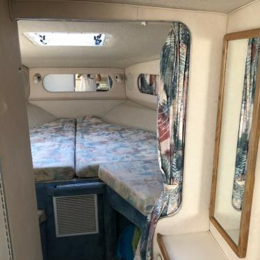 1995 Sea Ray sundancer 300