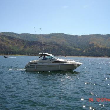 1989 Sea Ray sundancer