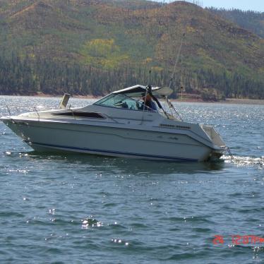 1989 Sea Ray sundancer