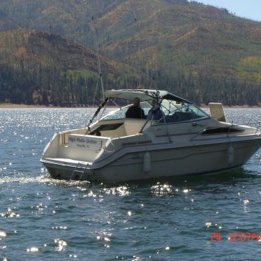 1989 Sea Ray sundancer