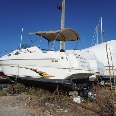 1999 Sea Ray sundancer 270