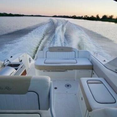 2010 Sea Ray 310