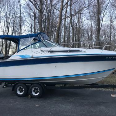 1987 Wellcraft aruba 232