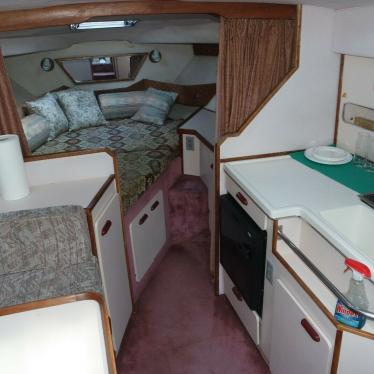 1989 Sea Ray sundancer 300 weekender