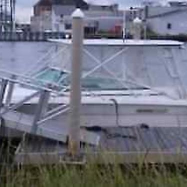 1994 Sea Ray 310 amberjack