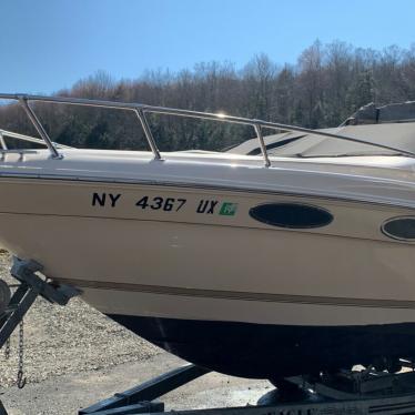 1995 Sea Ray 220