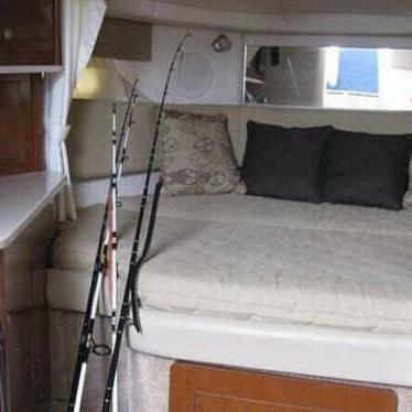 2008 Sea Ray 290 amberjack