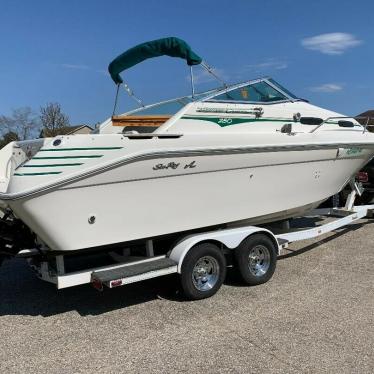 1993 Sea Ray express cruiser 250