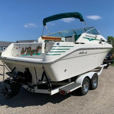 1993 Sea Ray express cruiser 250