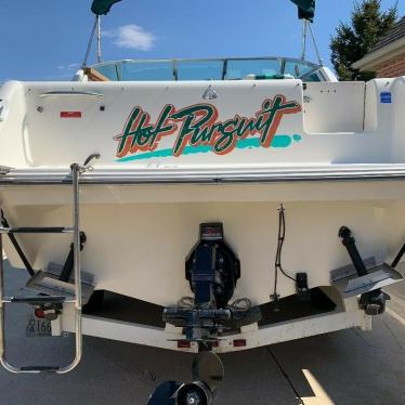 1993 Sea Ray express cruiser 250