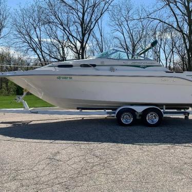 1993 Sea Ray express cruiser 250