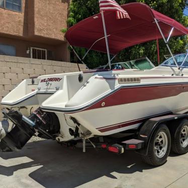 1989 Sea Ray 200