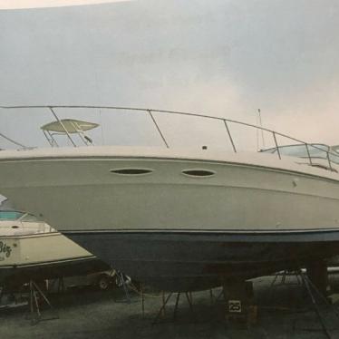 1991 Sea Ray