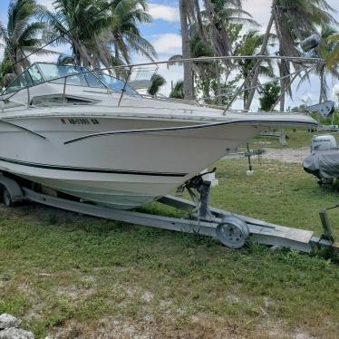 1989 Sea Ray sundancer