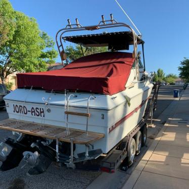 1981 Sea Ray sundancer