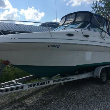 1999 Sea Ray sundancer