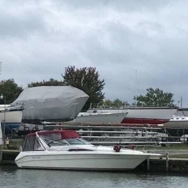 1992 Sea Ray sundancer