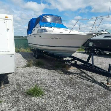 1984 Bayliner contessa