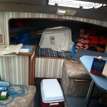 1984 Bayliner contessa