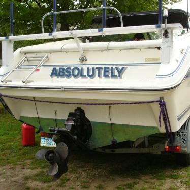 1989 Sea Ray 23 sea ray