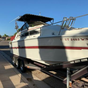 1981 Sea Ray sundancer