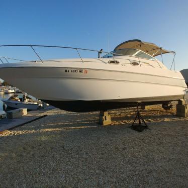 1999 Sea Ray sundancer 270