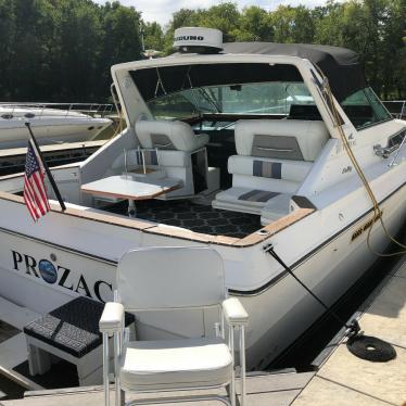 1989 Sea Ray ec390