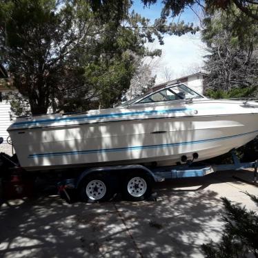 1980 Sea Ray mercruiser