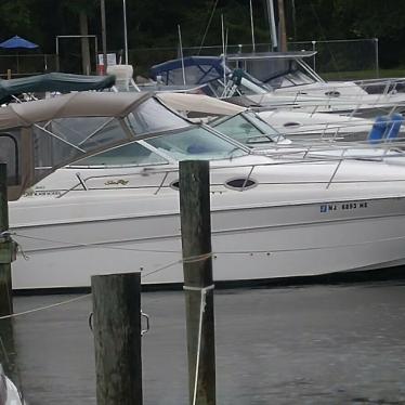 1999 Sea Ray sundancer 270