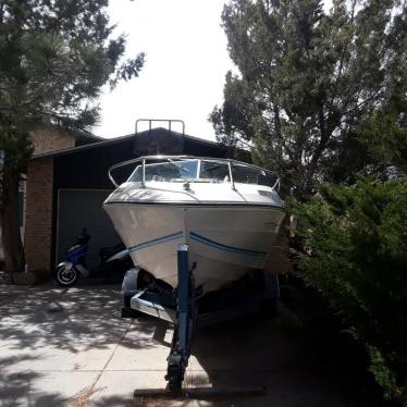 1980 Sea Ray mercruiser