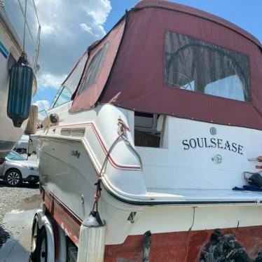 1989 Sea Ray sundancer