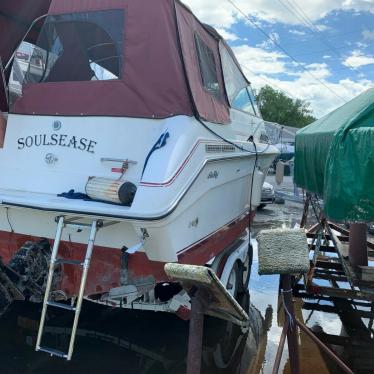 1989 Sea Ray sundancer