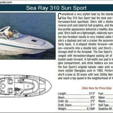 1993 Sea Ray sun sport 310