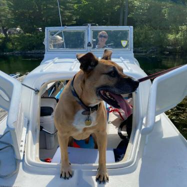 1968 Boston Whaler menemsha