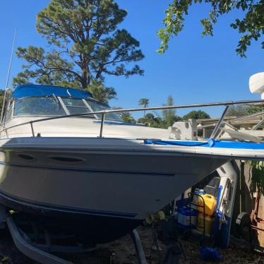 1993 Sea Ray mercruiser