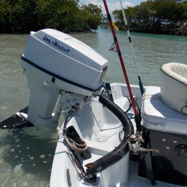 1979 Boston Whaler