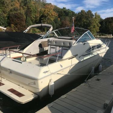 1981 Sea Ray sundancer