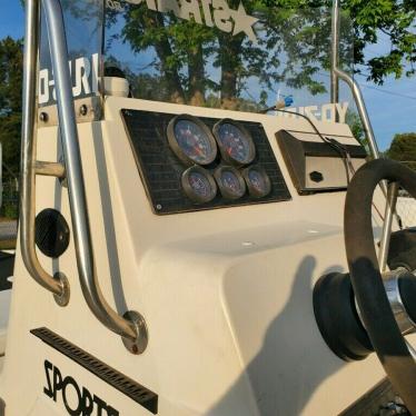 1995 Sea Ray sportsman 190