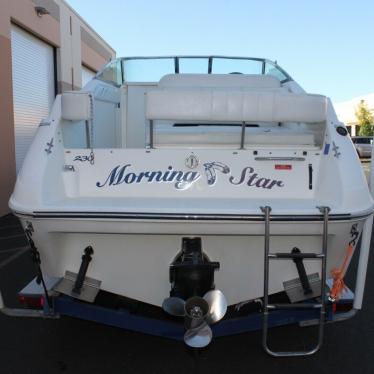 1994 Sea Ray sundancer series 230