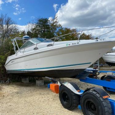 1994 Sea Ray sundancer 270