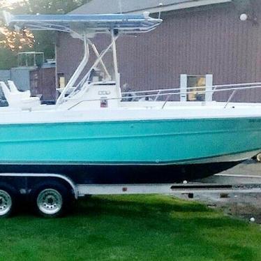 1991 Sea Ray laguna