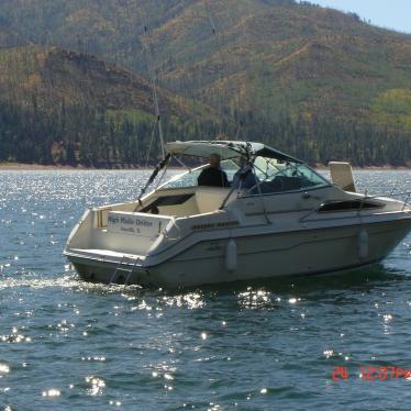 1989 Sea Ray